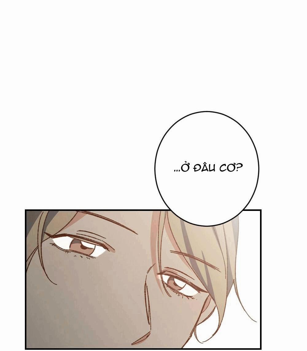 TUYỂN TẬP NGỰC BỰ, CUNG KHỦ CỦA NHÀ KIM 38 trang 19