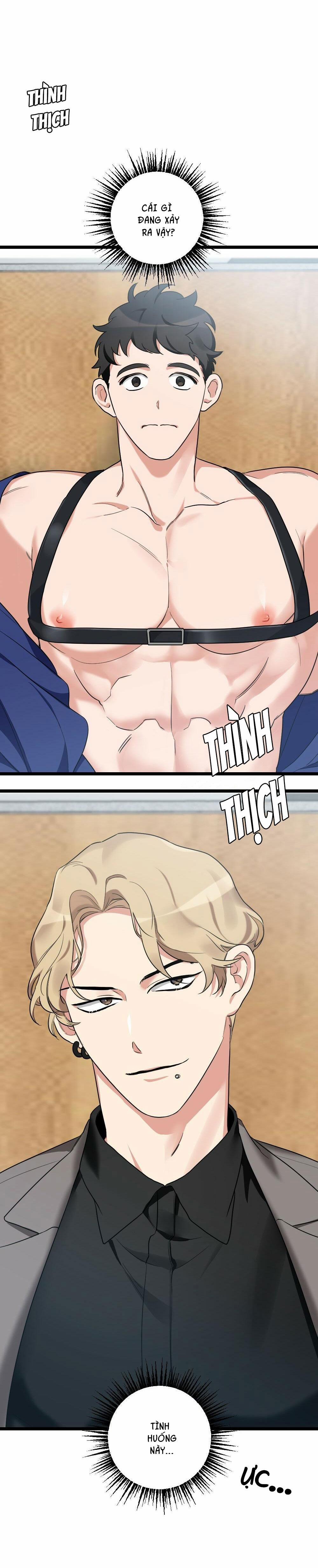 TUYỂN TẬP NGỰC BỰ, CUNG KHỦ CỦA NHÀ KIM 40 IDOL 2 trang 1