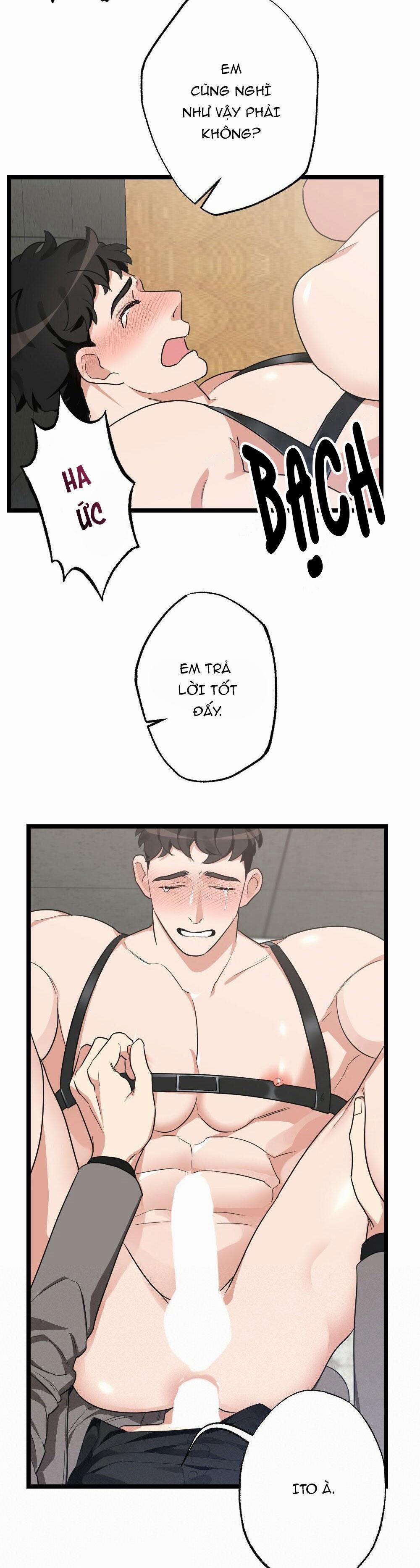 TUYỂN TẬP NGỰC BỰ, CUNG KHỦ CỦA NHÀ KIM 41 trang 14