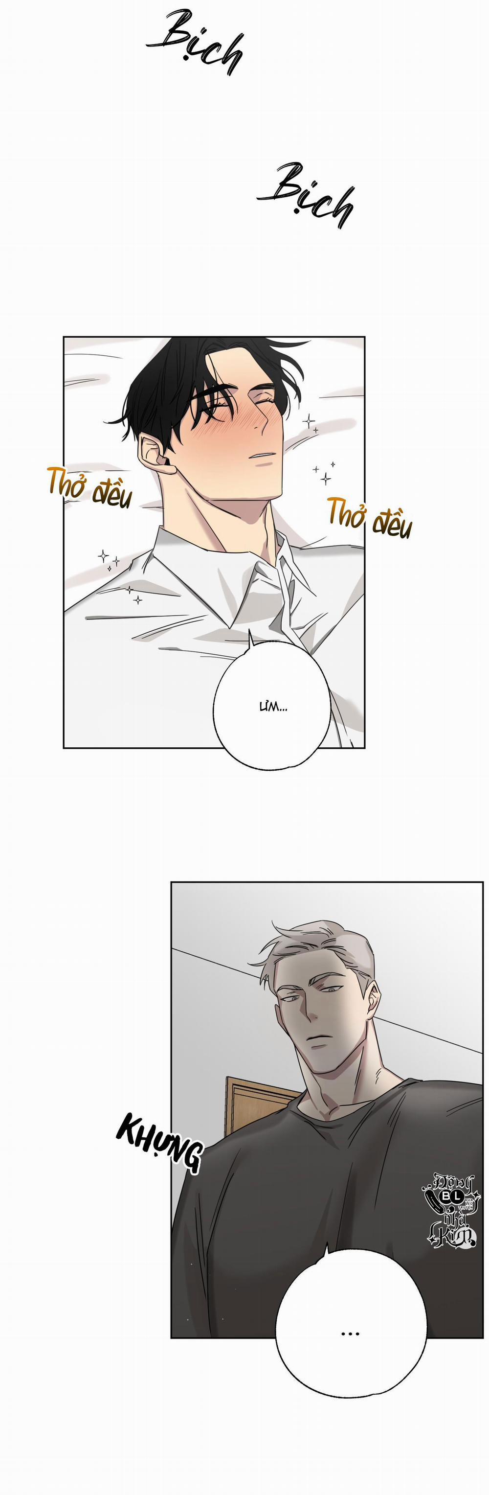 TUYỂN TẬP NGỰC BỰ, CUNG KHỦ CỦA NHÀ KIM 48 trang 15