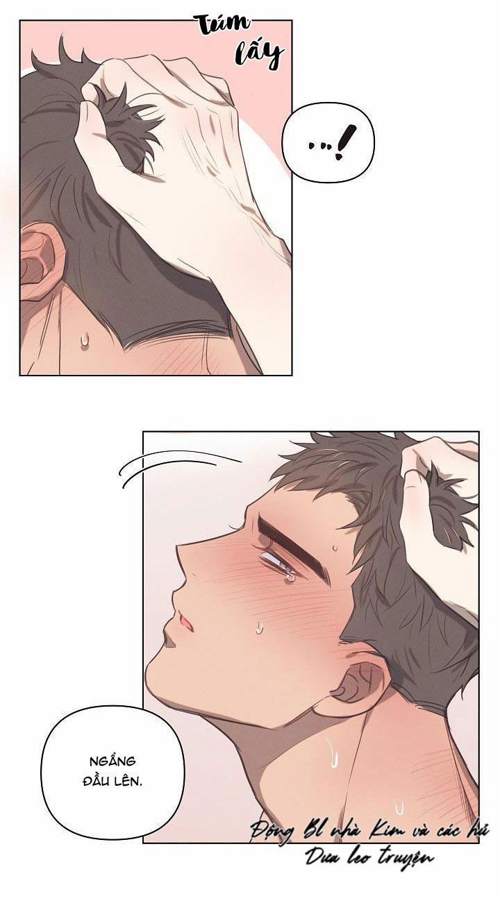 TUYỂN TẬP NGỰC BỰ, CUNG KHỦ CỦA NHÀ KIM 6 LOVE DROP 3 trang 14