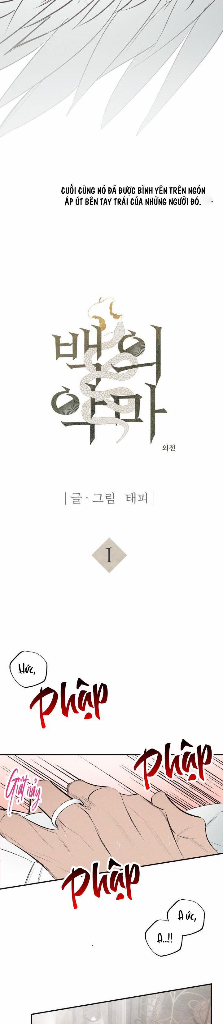 Tuyển Tập Ngực Bự Mlem - BDSM Của Nhà Kim 158.1 trang 2