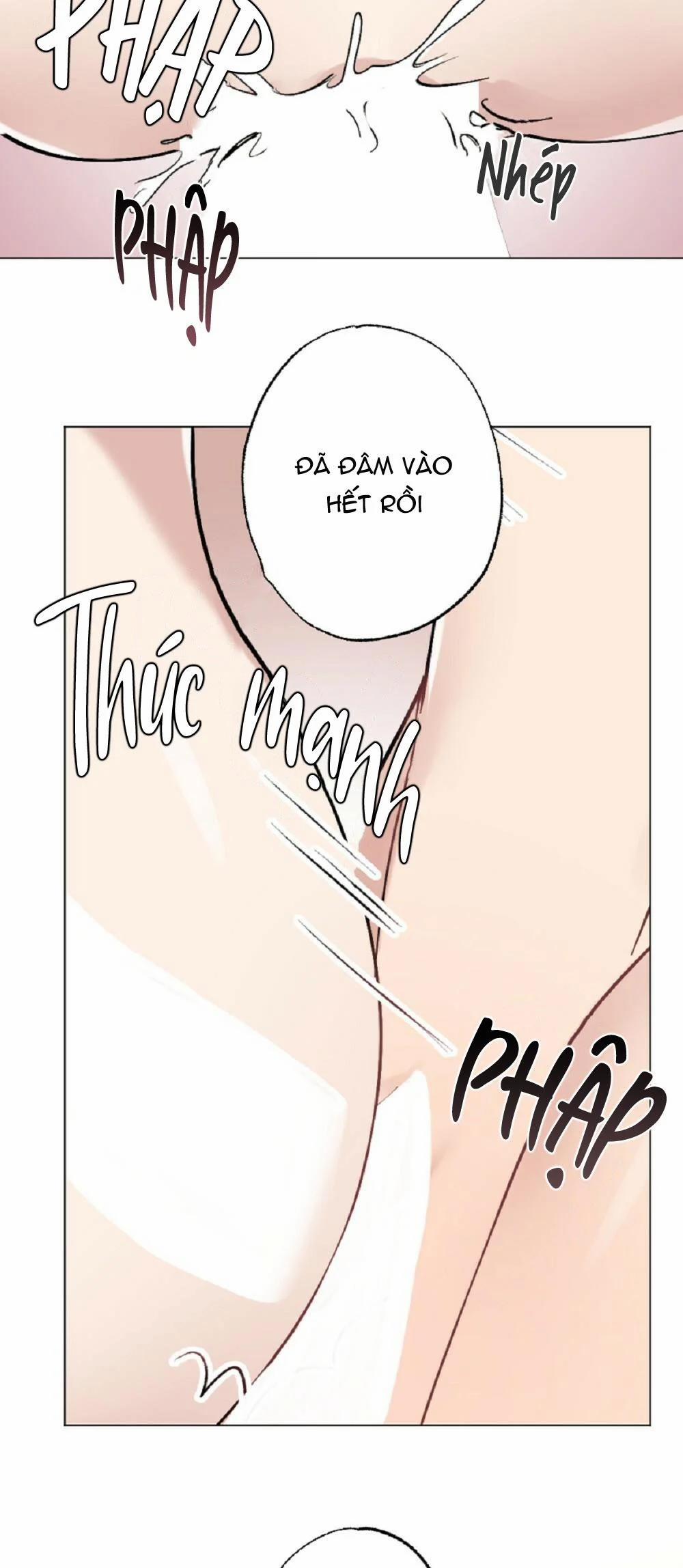 Tuyển Tập Ngực Bự Mlem - BDSM Của Nhà Kim 160.8 trang 14