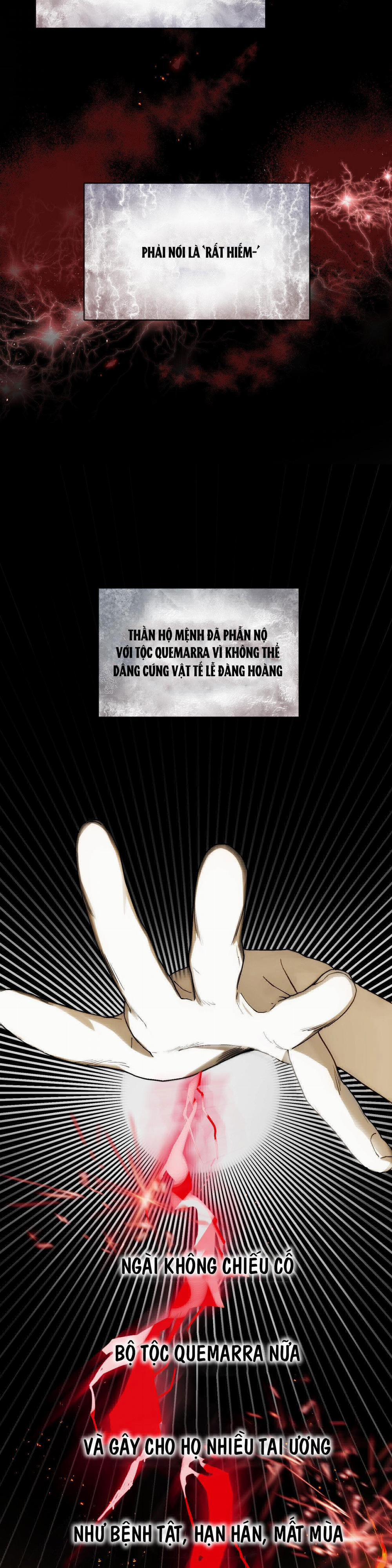 Tuyển Tập Ngực Bự Mlem - BDSM Của Nhà Kim 161.1 trang 4