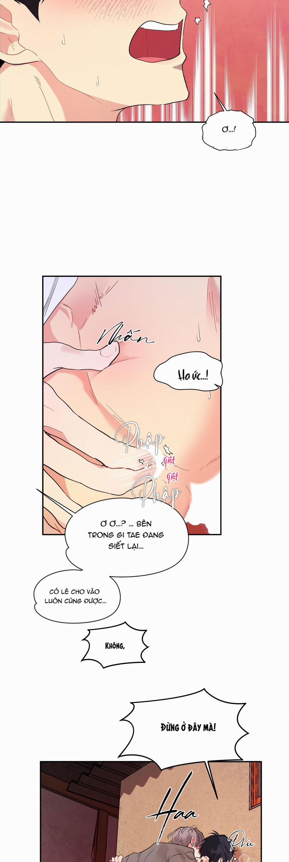 Tuyển Tập Ngực Bự Mlem - BDSM Của Nhà Kim 164.1 trang 33