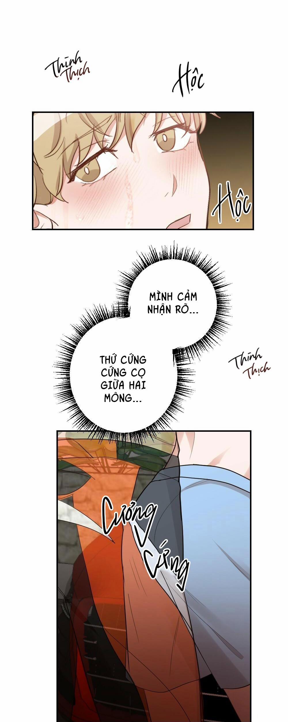 Tuyển Tập Ngực Bự Mlem - BDSM Của Nhà Kim 18 trang 30