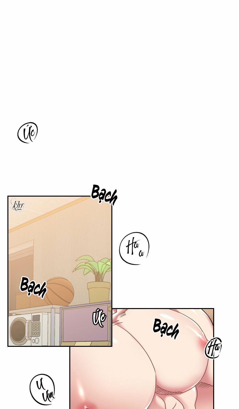 Tuyển Tập Ngực Bự Mlem - BDSM Của Nhà Kim 33 trang 1