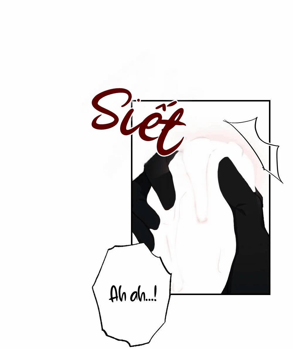 Tuyển Tập Ngực Bự Mlem - BDSM Của Nhà Kim 37 trang 21