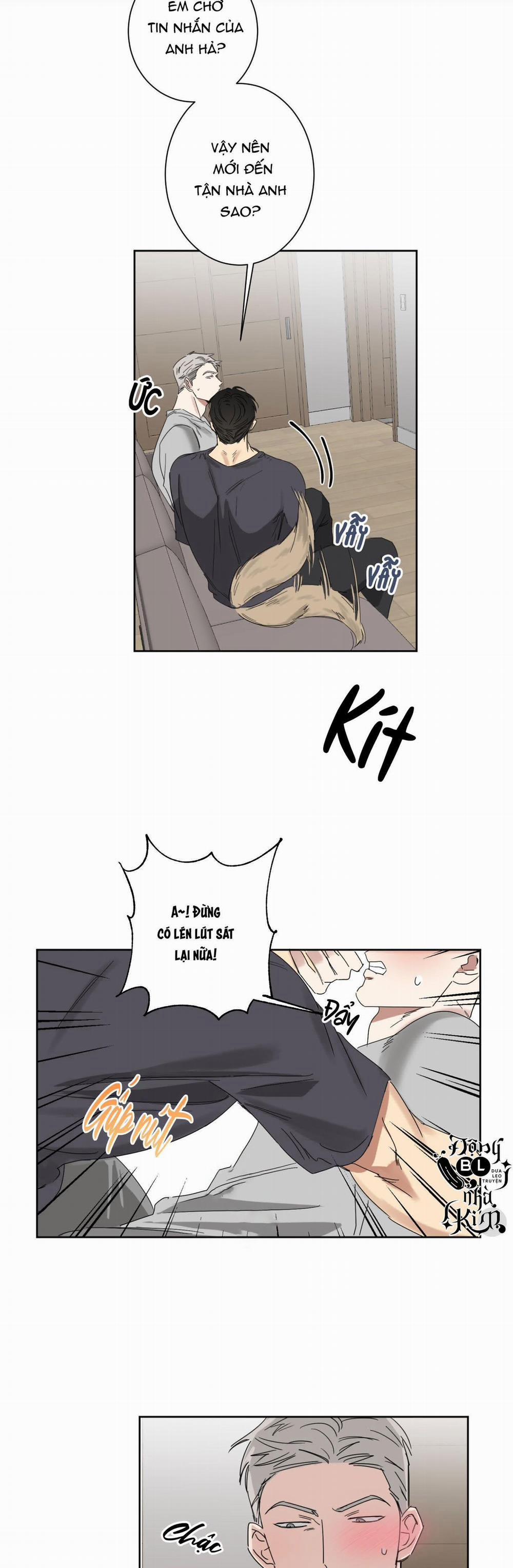 Tuyển Tập Ngực Bự Mlem - BDSM Của Nhà Kim 51 trang 12