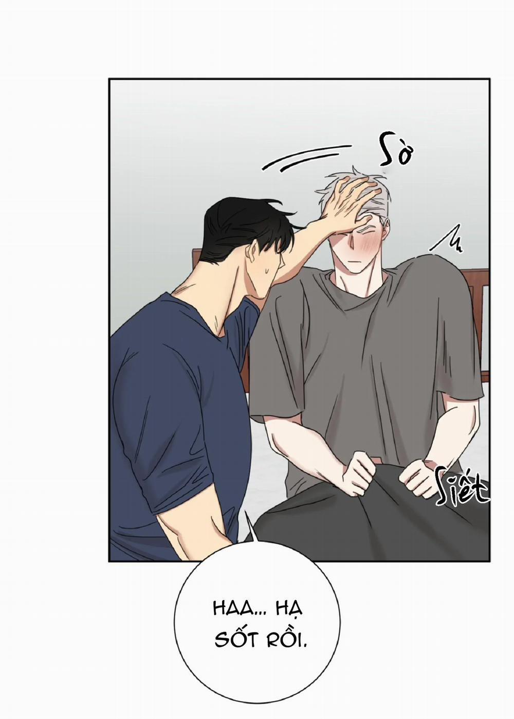 Tuyển Tập Ngực Bự Mlem - BDSM Của Nhà Kim 55 trang 4