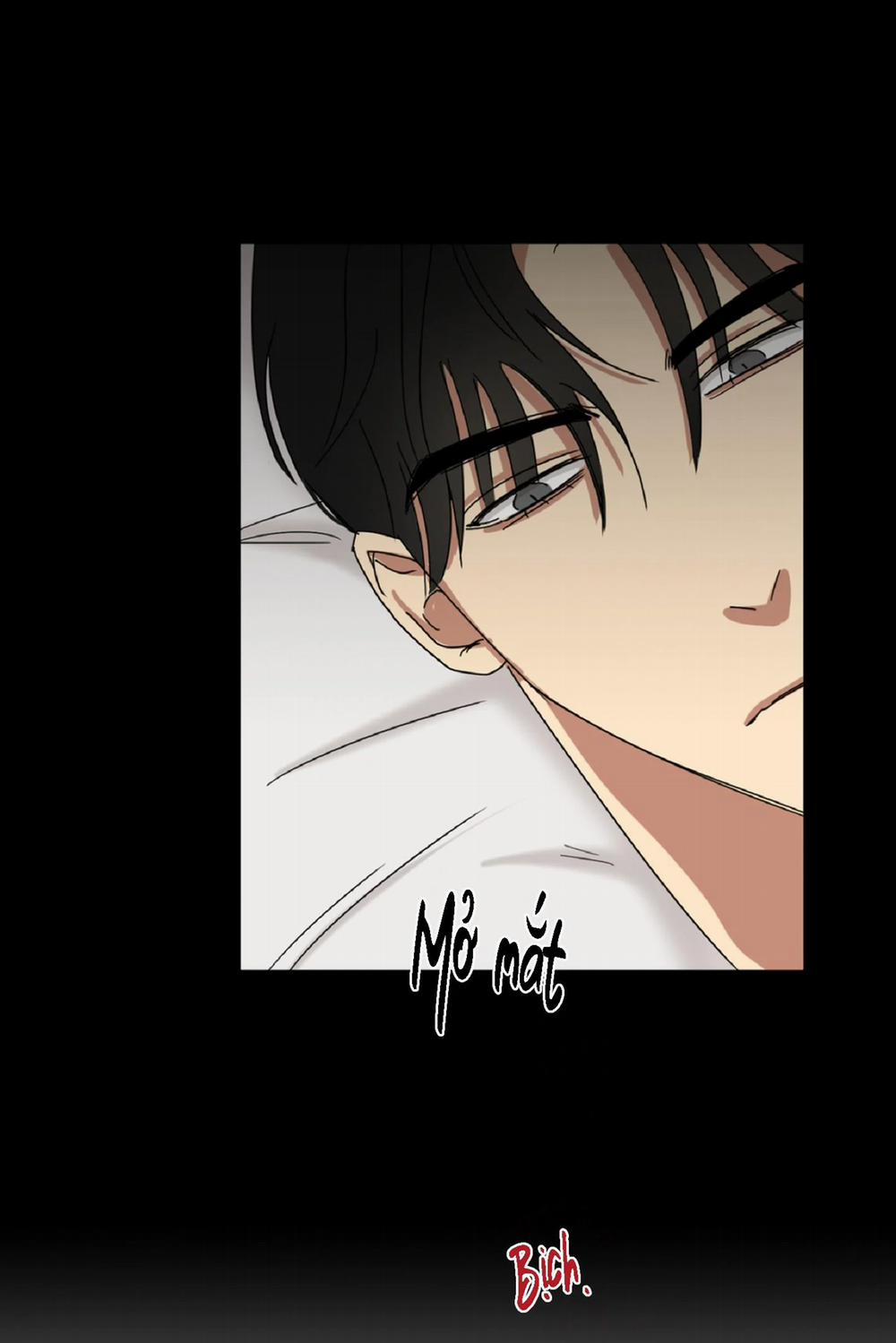 Tuyển Tập Ngực Bự Mlem - BDSM Của Nhà Kim 55 trang 46