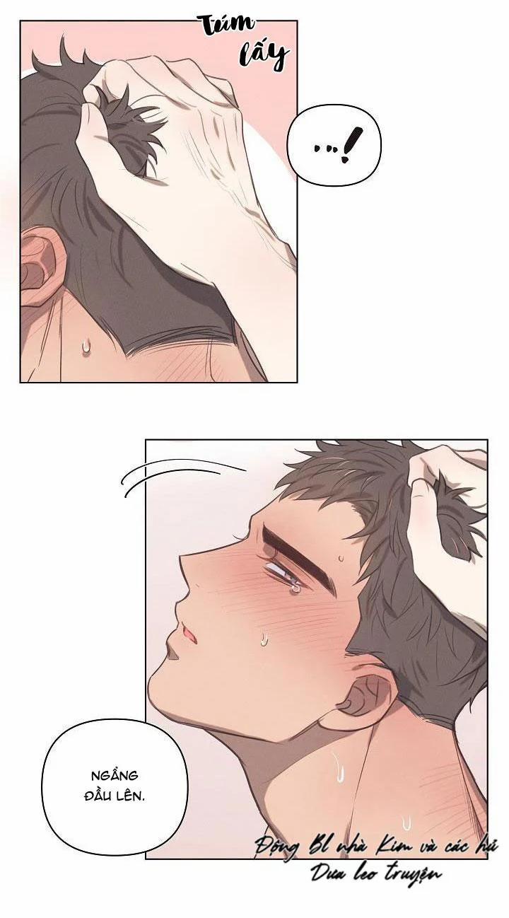 Tuyển Tập Ngực Bự Mlem - BDSM Của Nhà Kim 6 trang 14