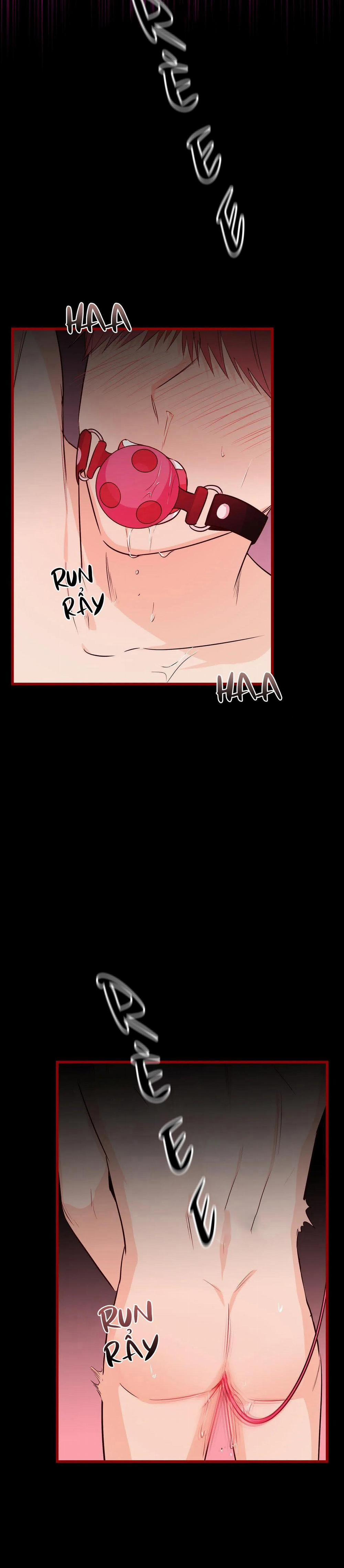 Tuyển Tập Ngực Bự Mlem - BDSM Của Nhà Kim 66 trang 12