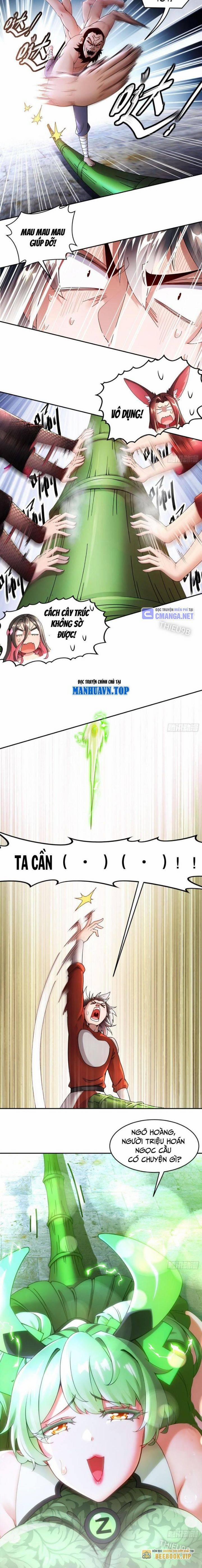 Tuyệt Sắc Đạo Lữ Đều Nói Ngô Hoàng Thể Chất Vô Địch 232 trang 5
