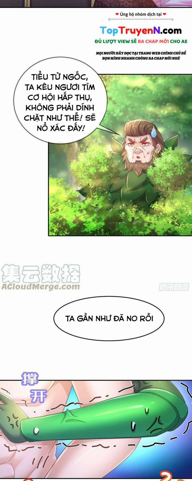 Tuyệt Sắc Đạo Lữ Đều Nói Ngô Hoàng Thể Chất Vô Địch 39 trang 13