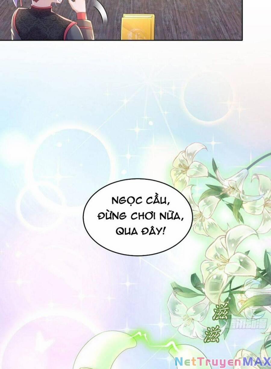 Tuyệt Sắc Đạo Lữ Đều Nói Ngô Hoàng Thể Chất Vô Địch 54 trang 5