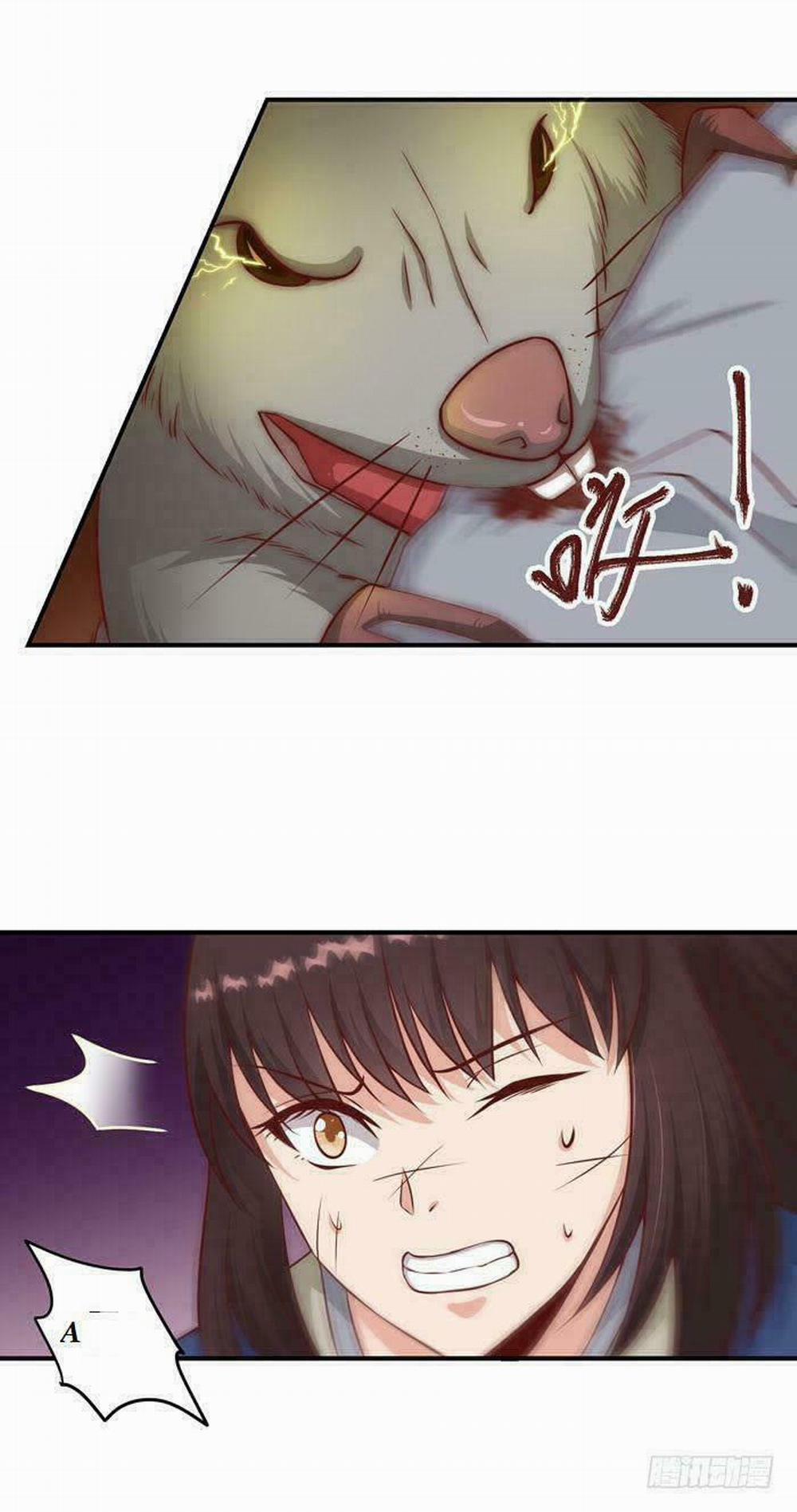 Tuyệt Sắc Quyến Rũ: Quỷ Y Chí Tôn 19 trang 14