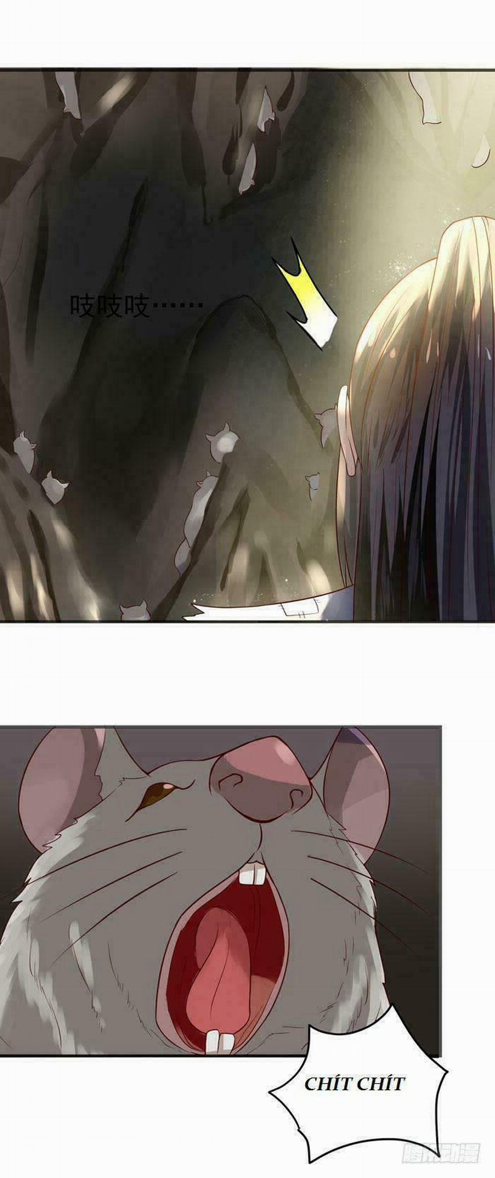 Tuyệt Sắc Quyến Rũ: Quỷ Y Chí Tôn 19 trang 8