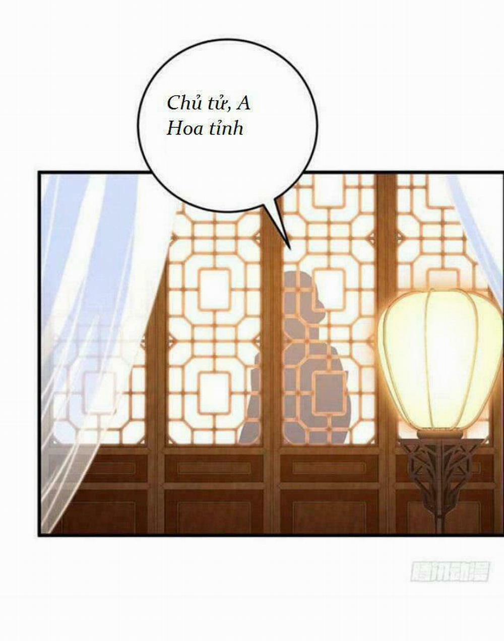 Tuyệt Sắc Quyến Rũ: Quỷ Y Chí Tôn 48 trang 4