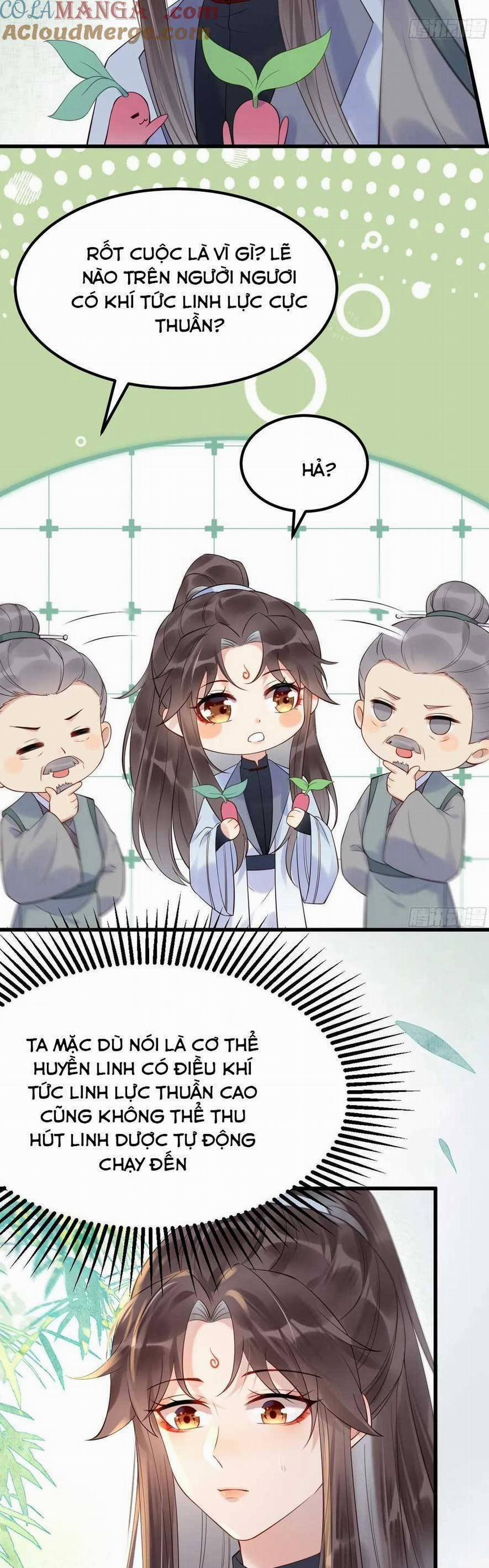 Tuyệt Sắc Quyến Rũ: Quỷ Y Chí Tôn 609 trang 7