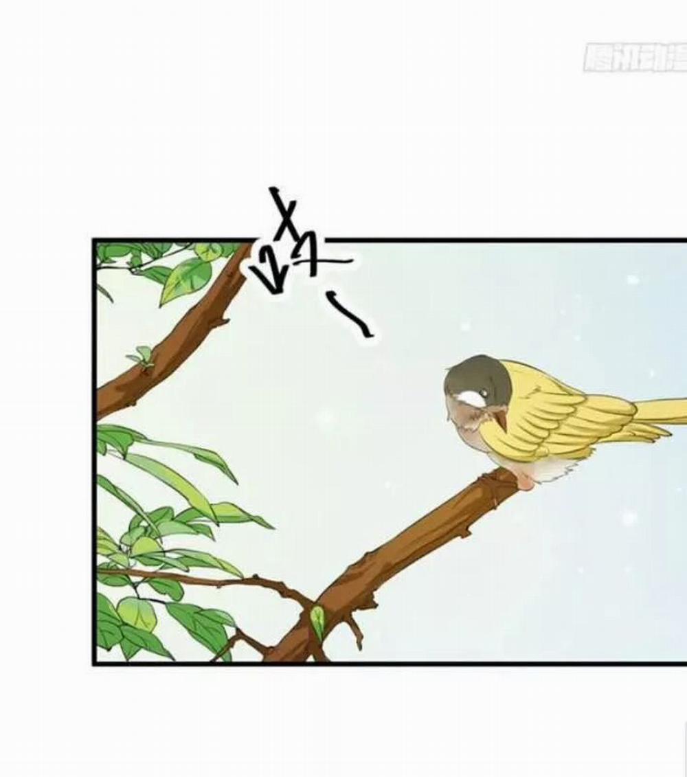 Tuyệt Sắc Quyến Rũ: Quỷ Y Chí Tôn 67 trang 26