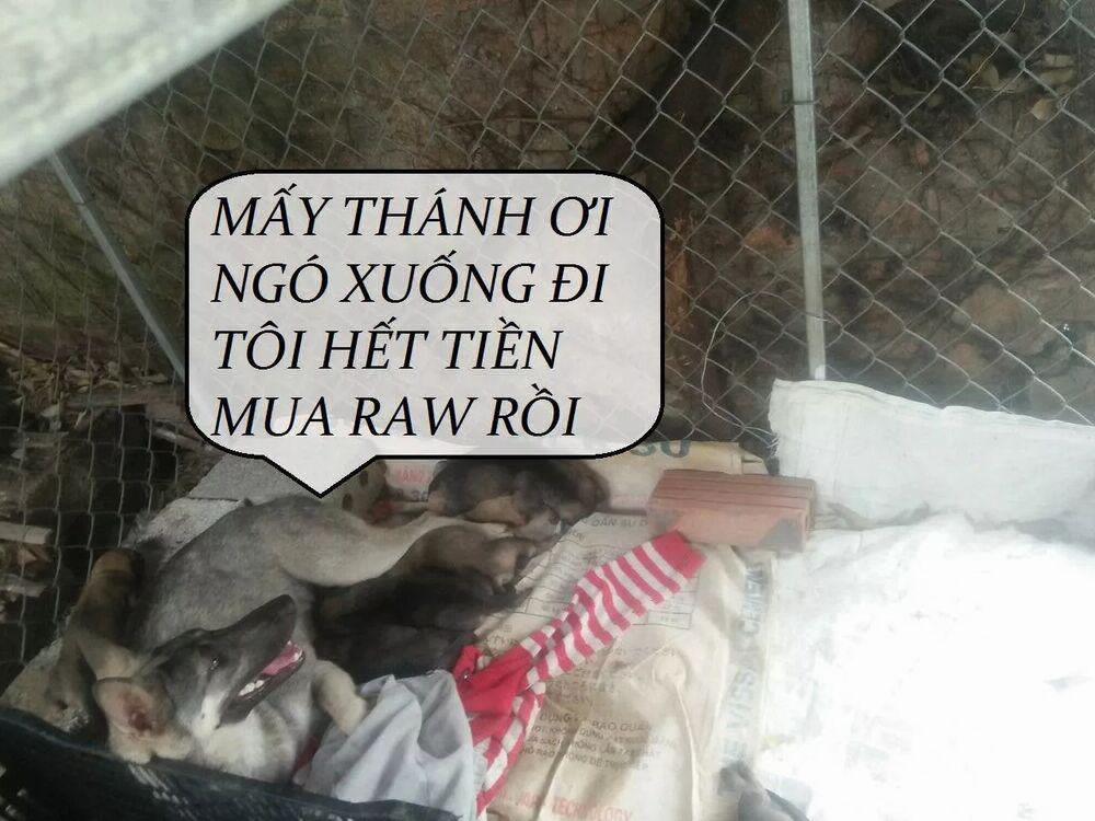 Tuyệt Sắc Quyến Rũ: Quỷ Y Chí Tôn 82 trang 48