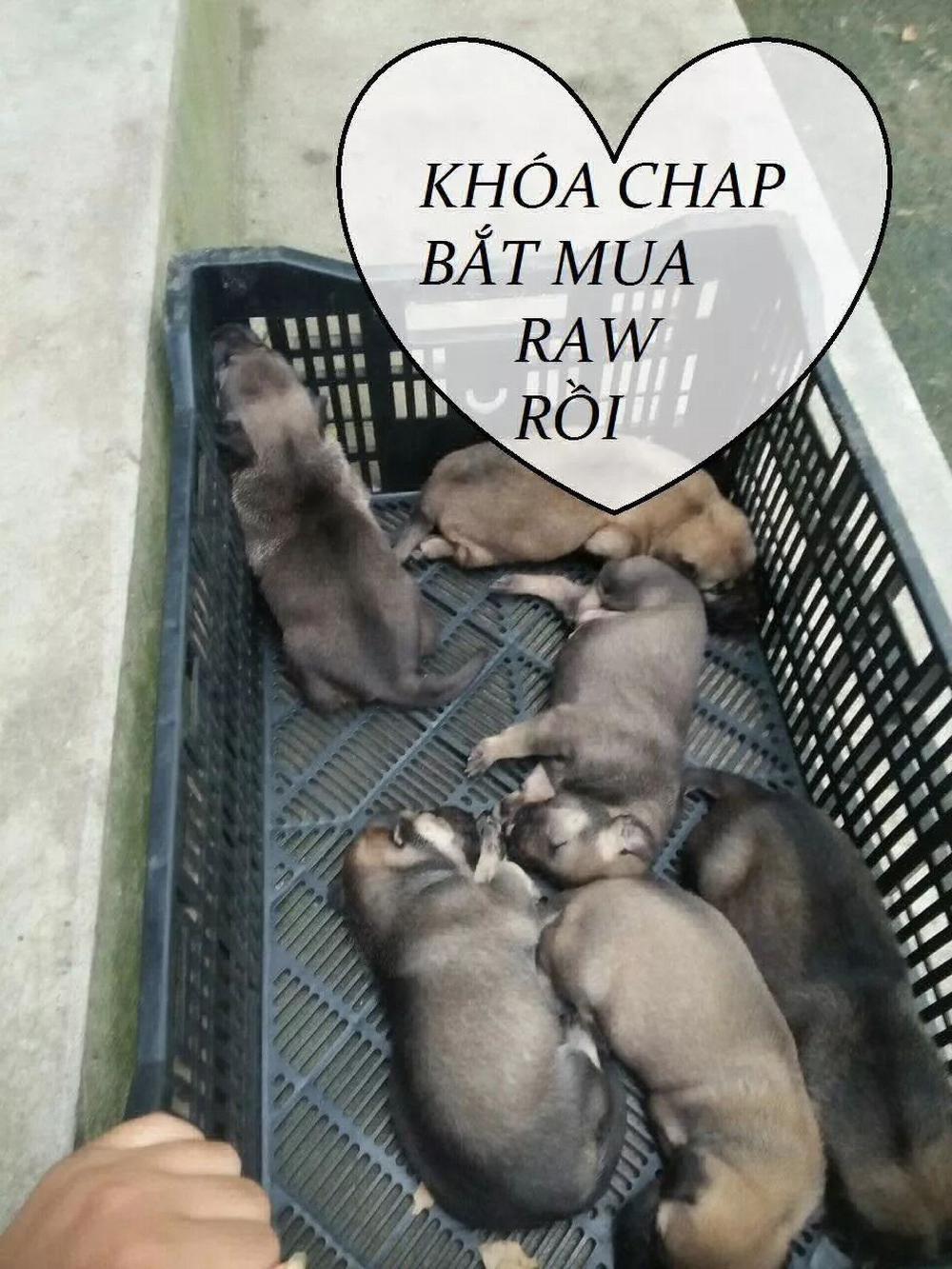 Tuyệt Sắc Quyến Rũ: Quỷ Y Chí Tôn 82 trang 49