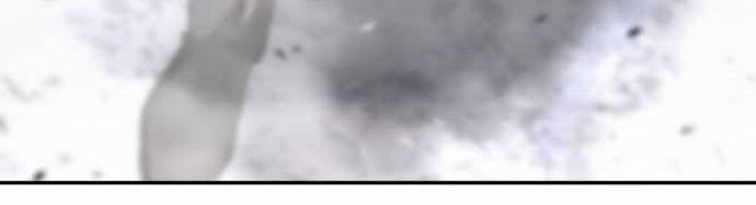 Tuyệt Thế Anh Hùng 16 trang 94