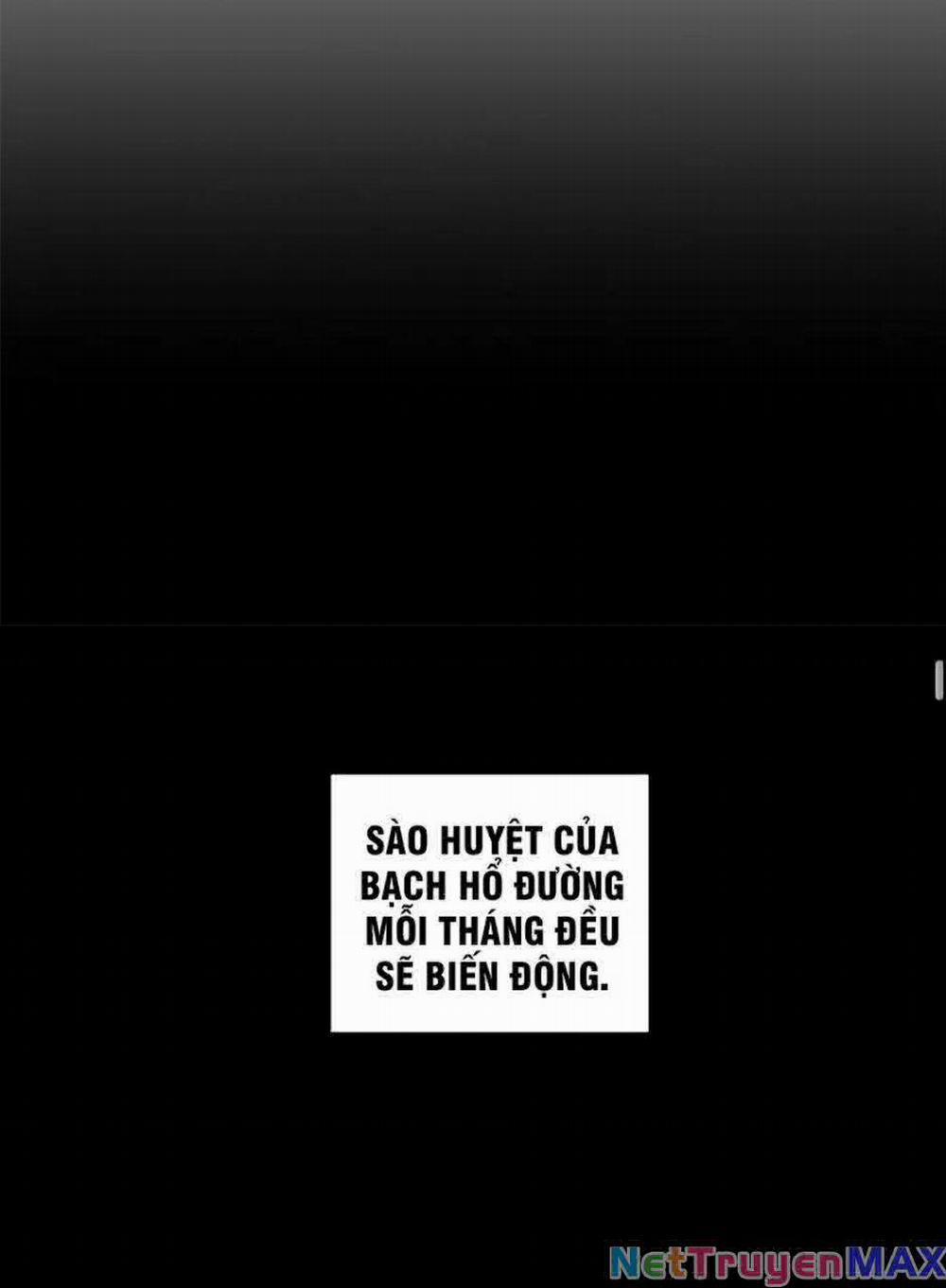 Tuyệt Thế Đạo Lữ 53 trang 45