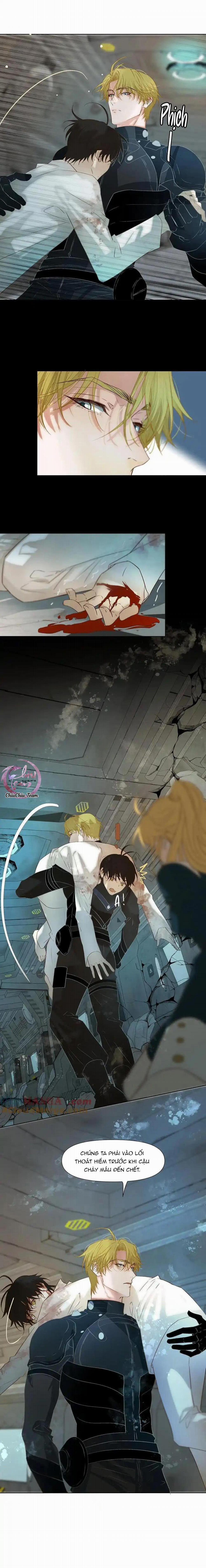 Tuyệt Xử Phùng Sinh 36 trang 12