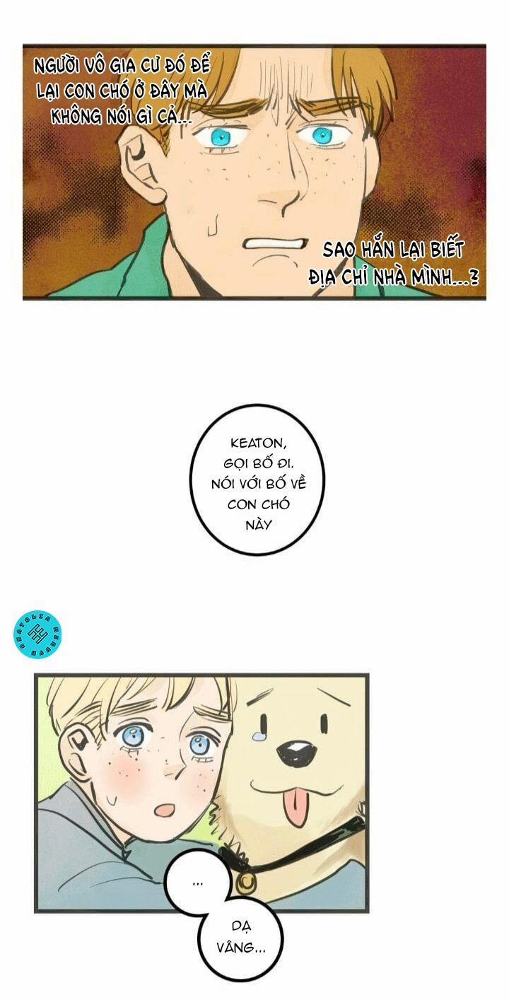 Two Sizes, too small 10 trang 8