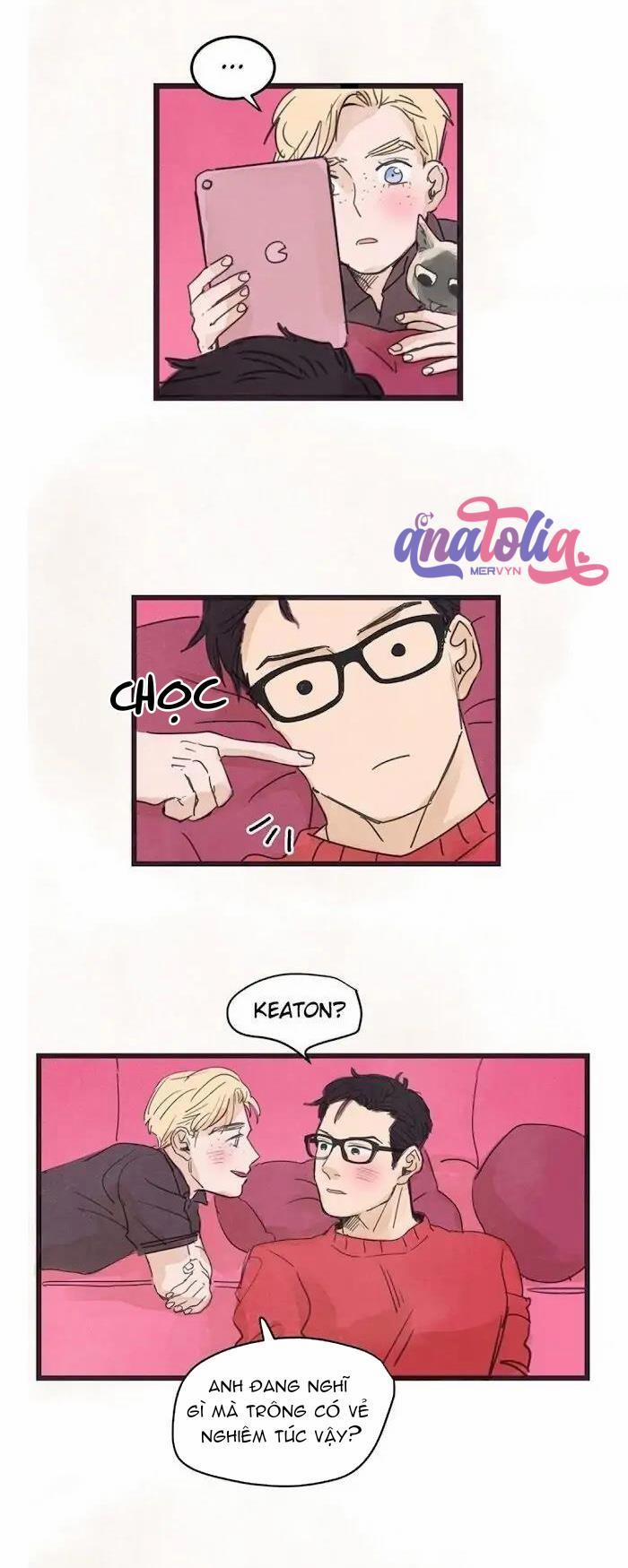 Two Sizes, too small 31 trang 3