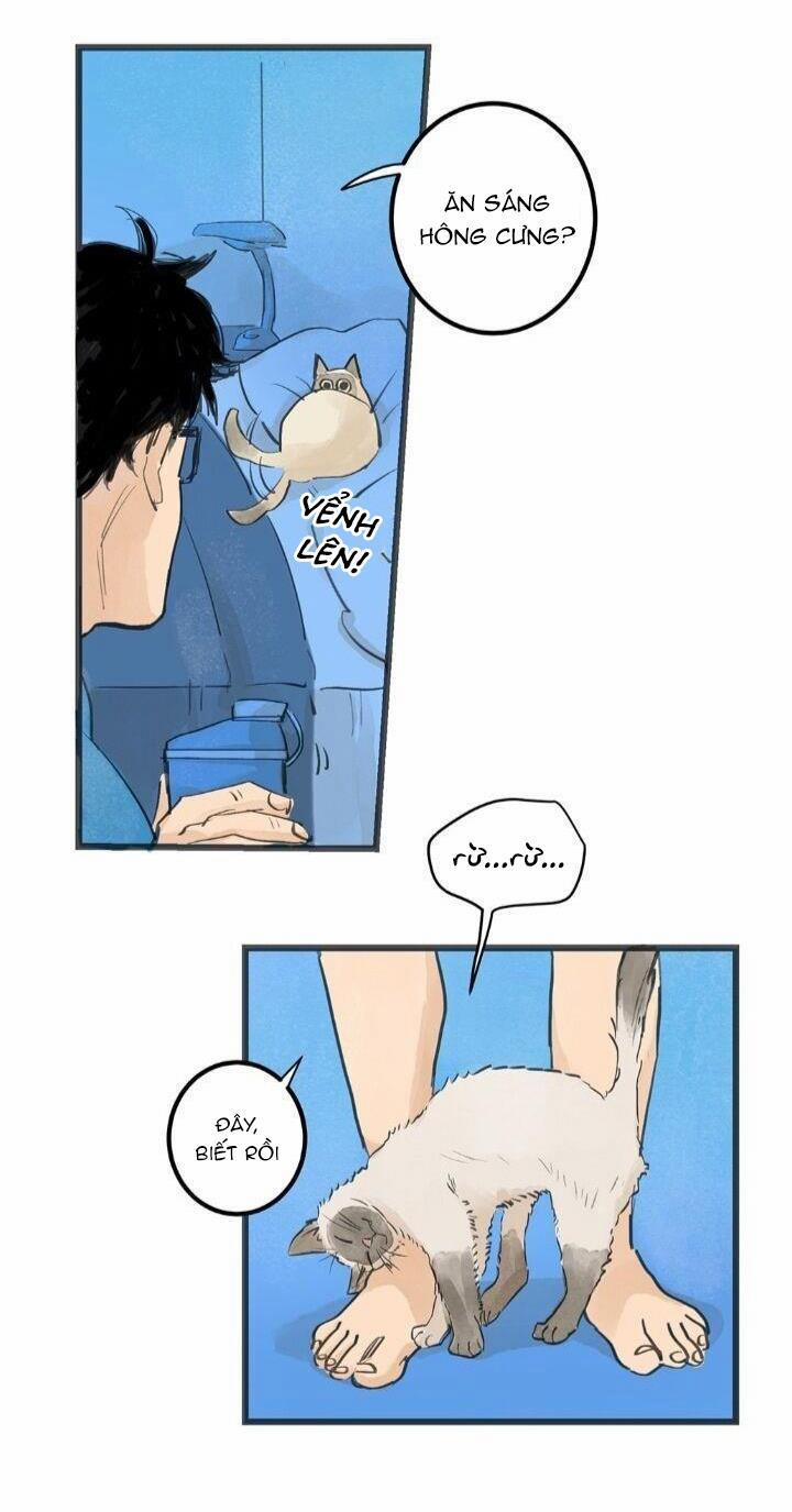 Two Sizes, too small 4 trang 3