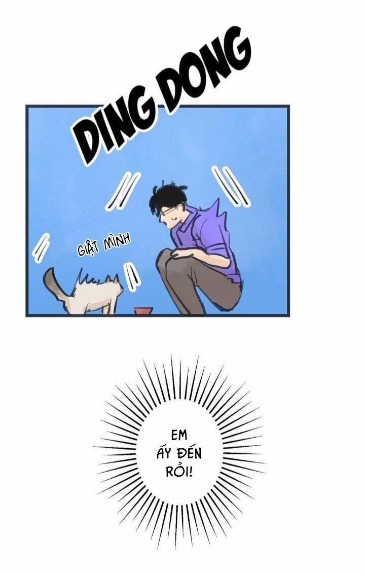 Two Sizes, too small 5 trang 12