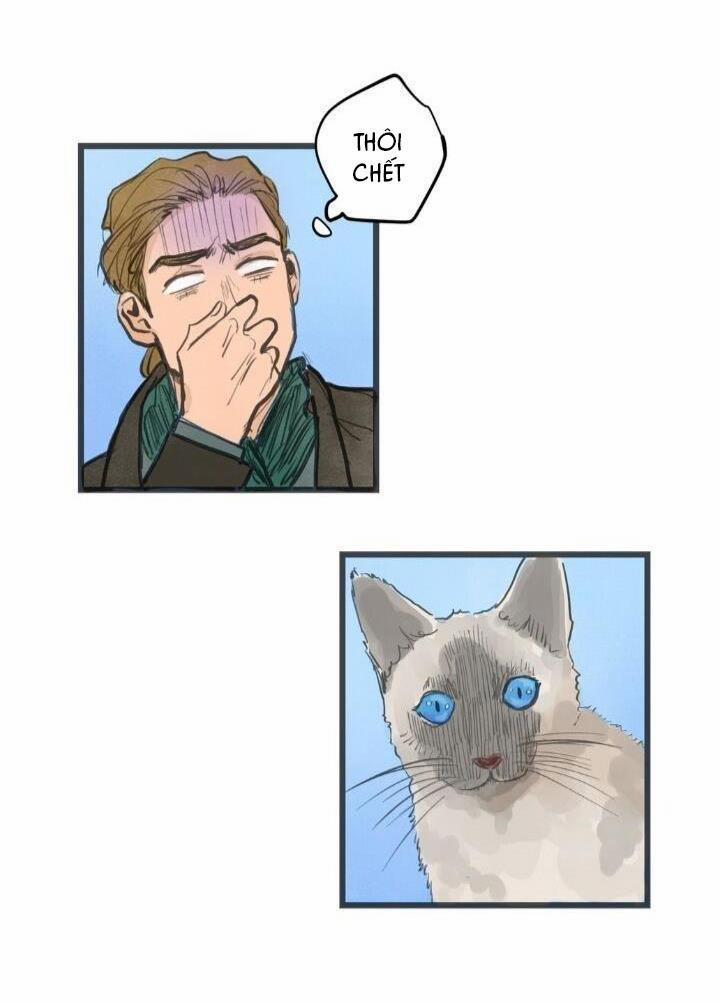 Two Sizes, too small 6 trang 11