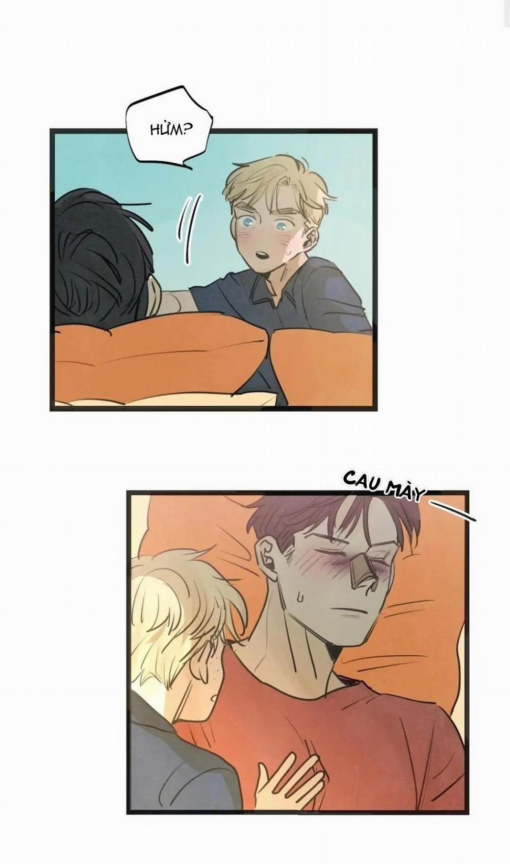 Two Sizes, too small 61 trang 11