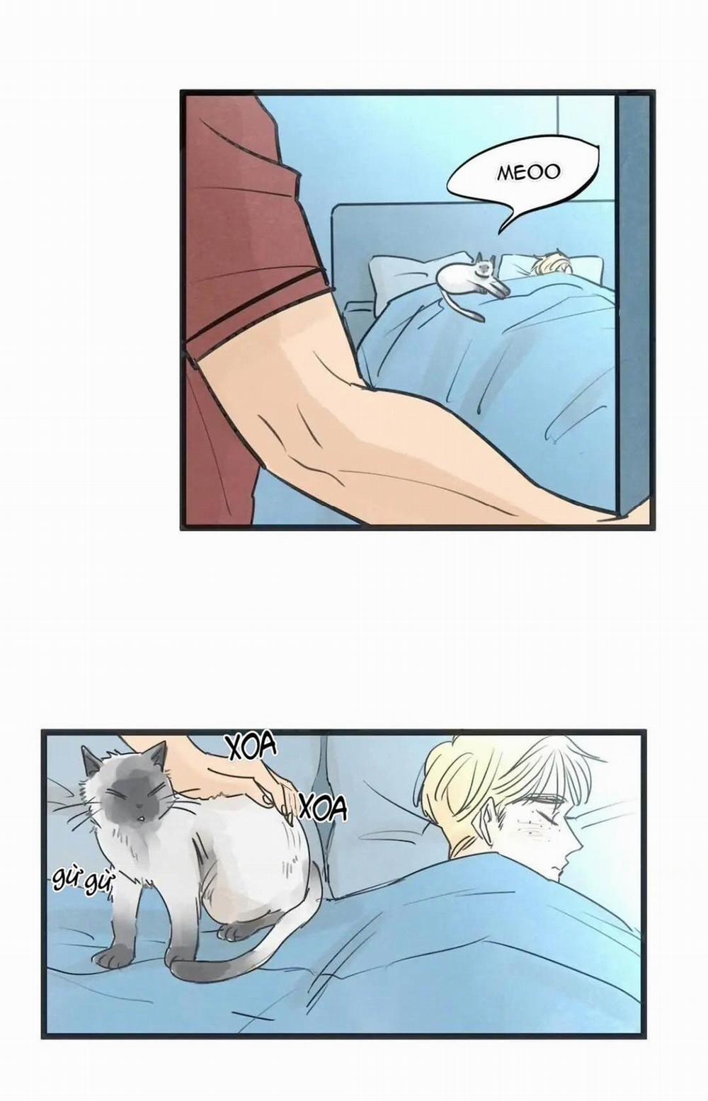 Two Sizes, too small 67 END trang 1