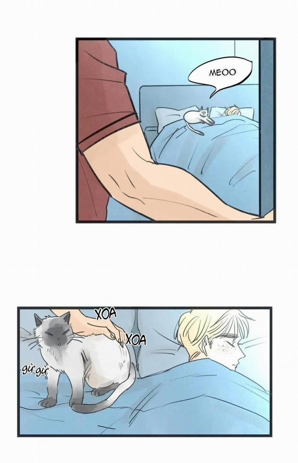 Two Sizes, too small 67 trang 1