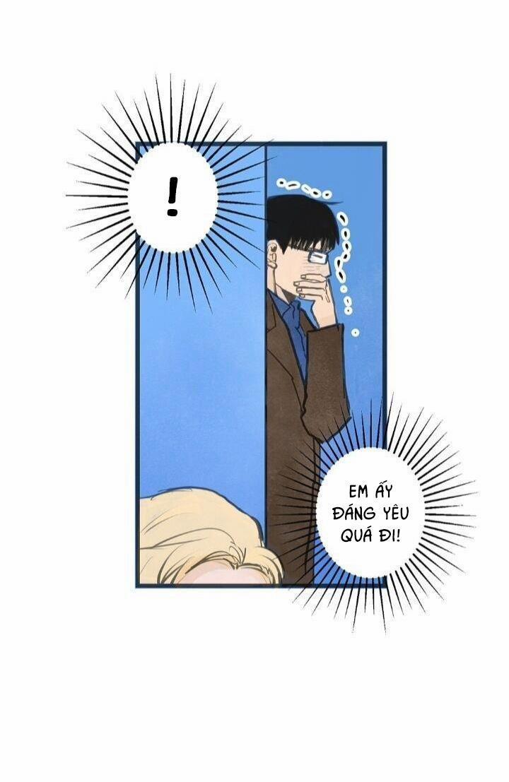 Two Sizes, too small 8 trang 6