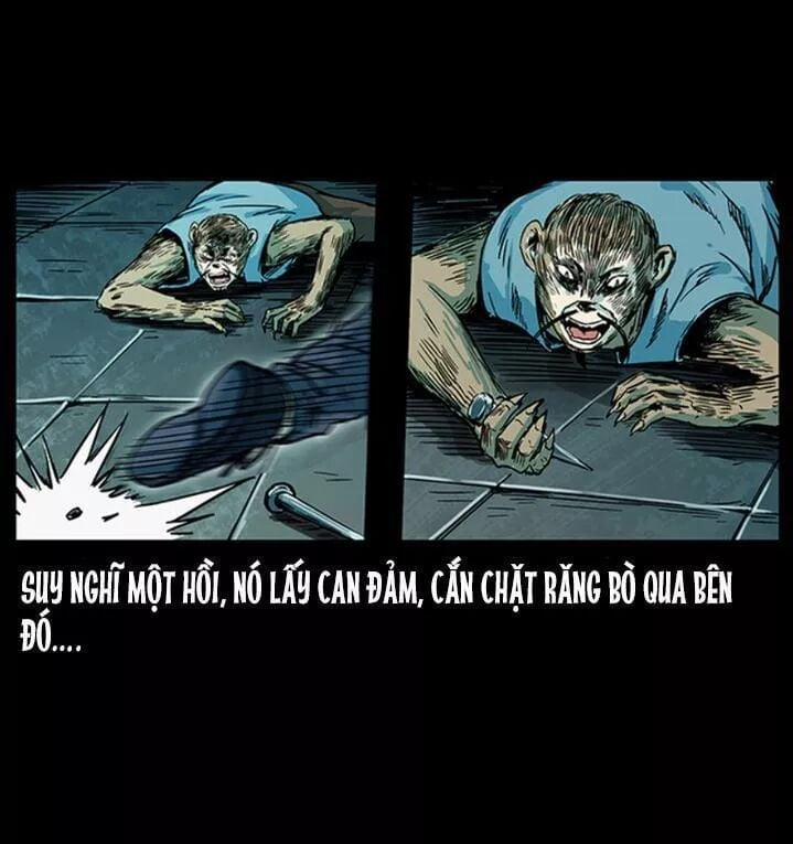 U Minh Ngụy Tượng 230 trang 11