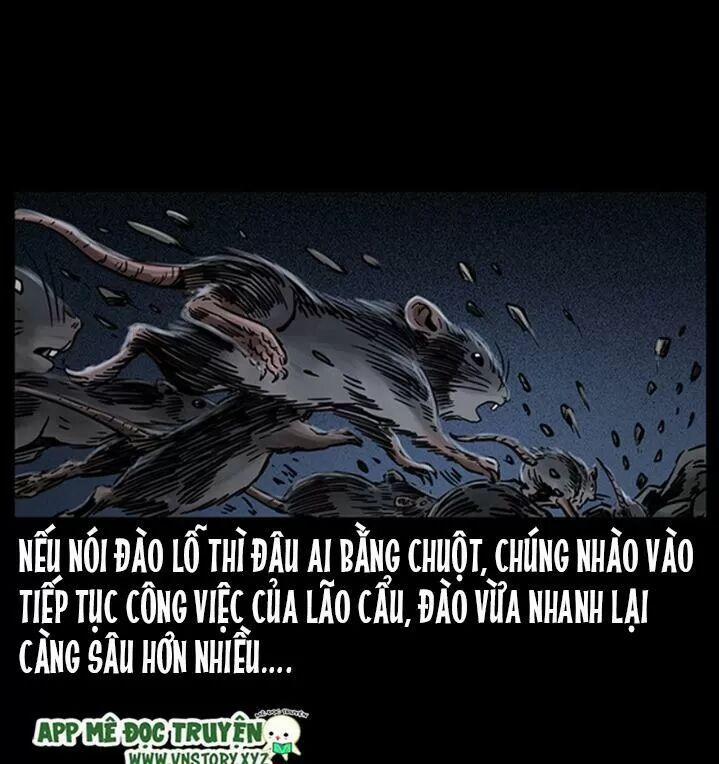 U Minh Ngụy Tượng 254 trang 5