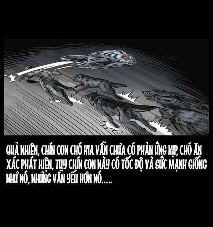 U Minh Ngụy Tượng 255 trang 13