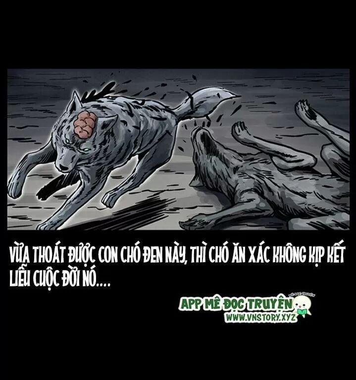 U Minh Ngụy Tượng 255 trang 7