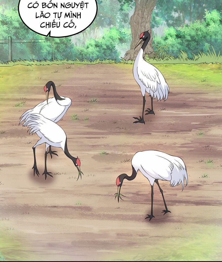 Vai Ác Sư Tôn Mang Theo Các Đồ Đệ Vô Địch Thiên Hạ, Nhân Vật Phản Diện Sư Tôn Ta Mang Theo Các Đồ Đệ Vô Địch 5 trang 49