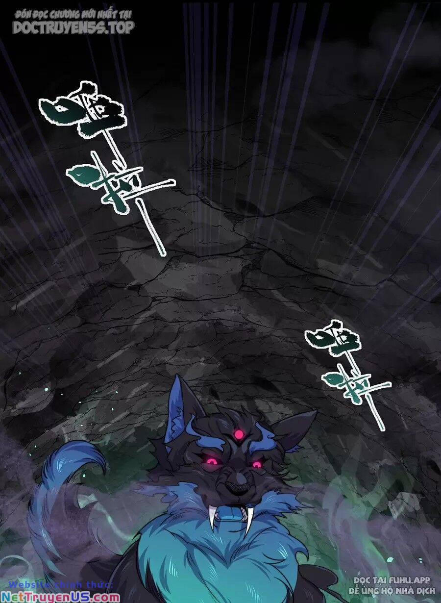 Vai Ác Sư Tôn Mang Theo Các Đồ Đệ Vô Địch Thiên Hạ, Nhân Vật Phản Diện Sư Tôn Ta Mang Theo Các Đồ Đệ Vô Địch 85 trang 16