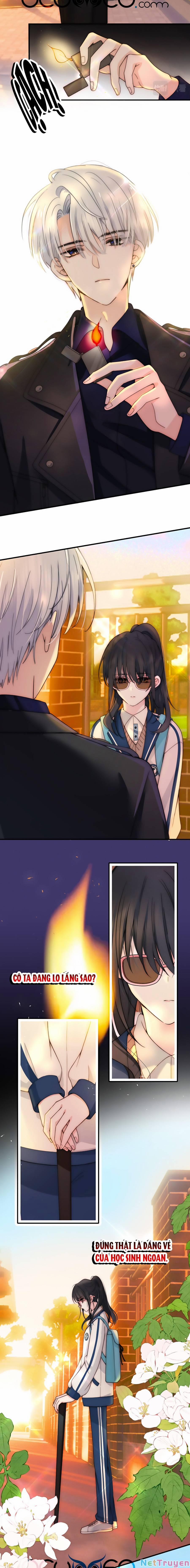 Vẫn Cứ Nuông Chiều 4 trang 3