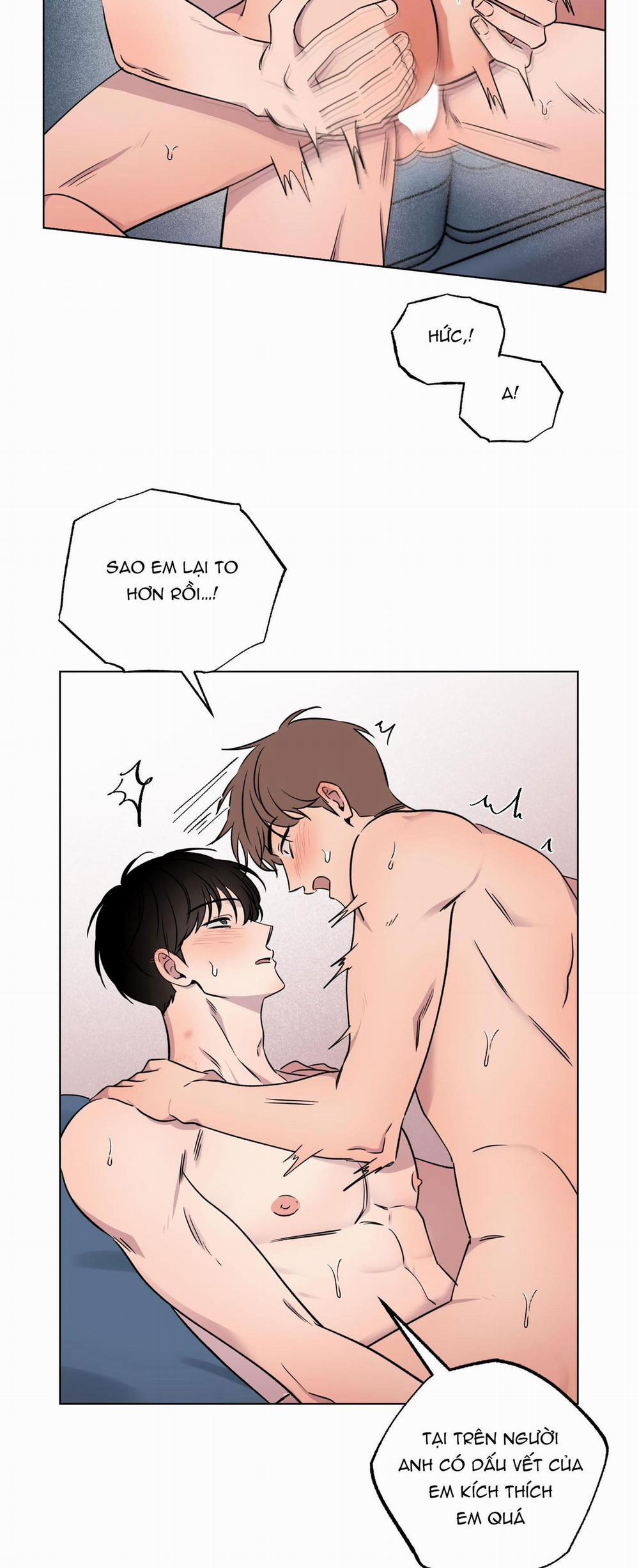 Vận May Bất Ngờ 31 trang 11