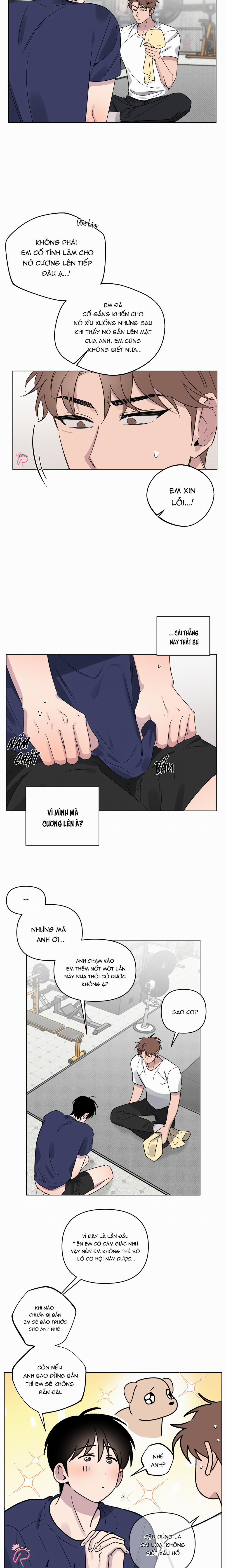 Vận May Nhất Đời 16 trang 5