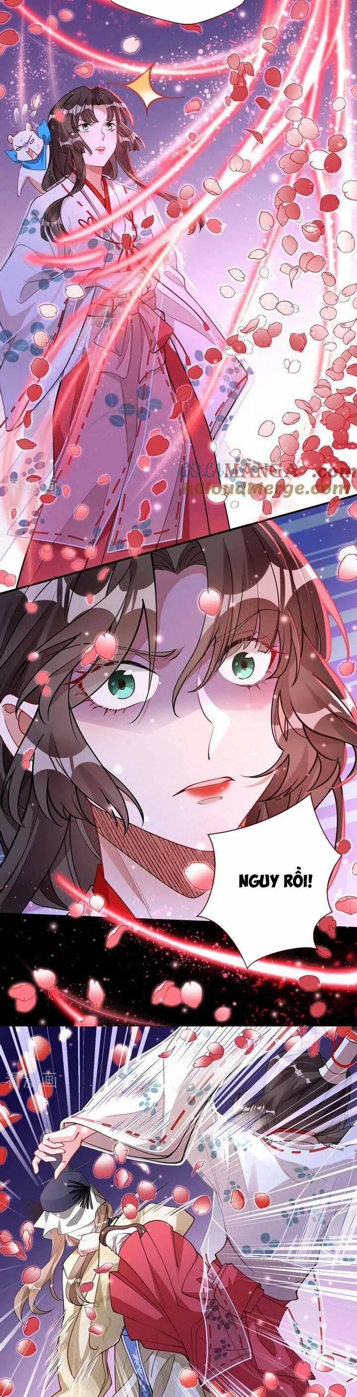 Vạn Tra Triêu Hoàng 785 trang 2