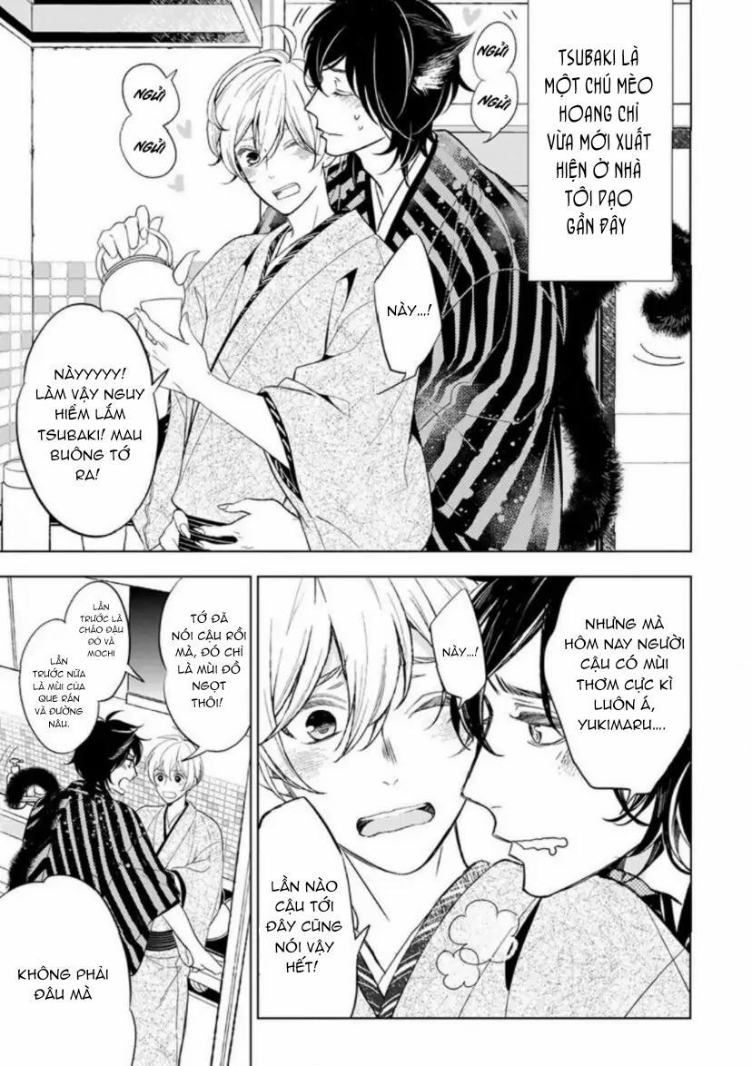 Vào Một Đêm Đầy Sao, Tình Yêu Đã Đến 4 trang 2